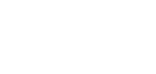 VN Vidrios y Neumáticos
